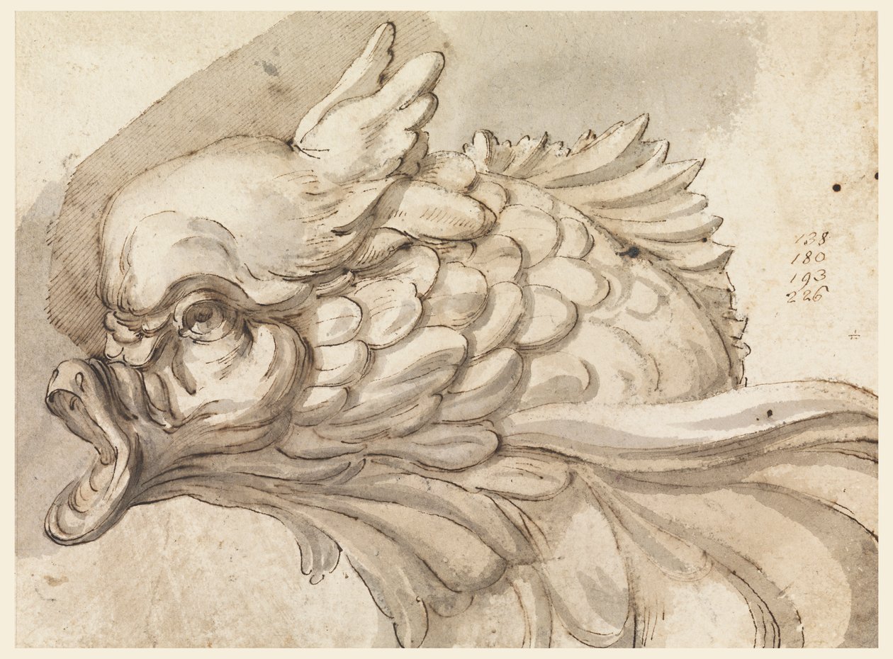 Tête de dauphin - Filippo Marchionni