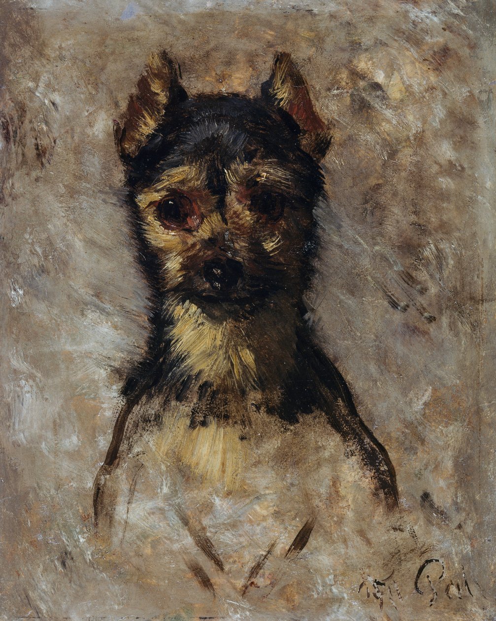 Tête de chien - Filippo Palizzi