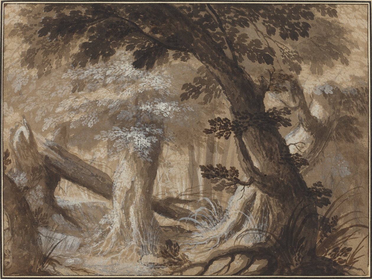 Intérieur de forêt - Flemish 17th Century
