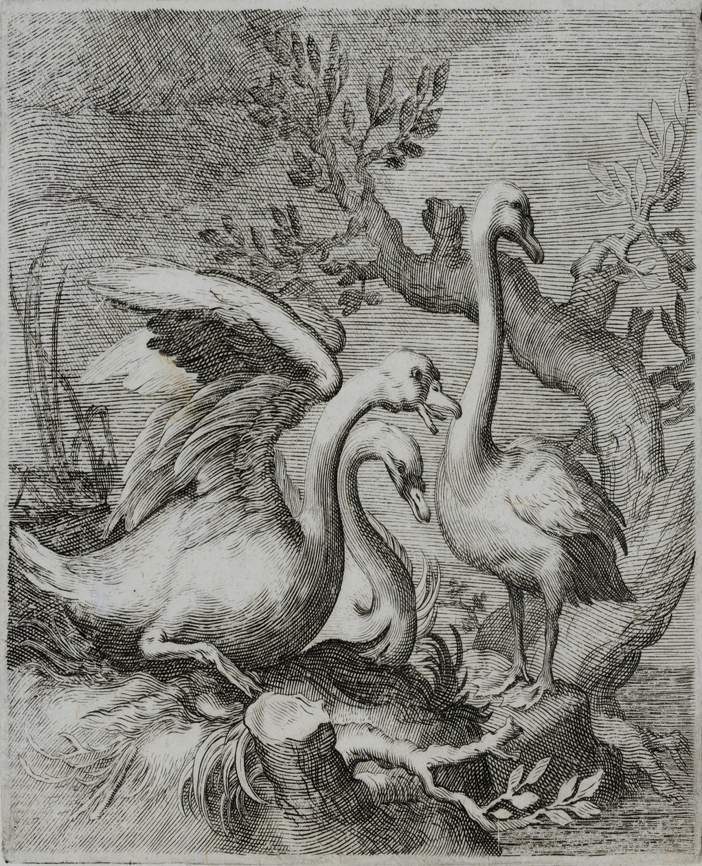 Gravure de maître ancien - Flemish School