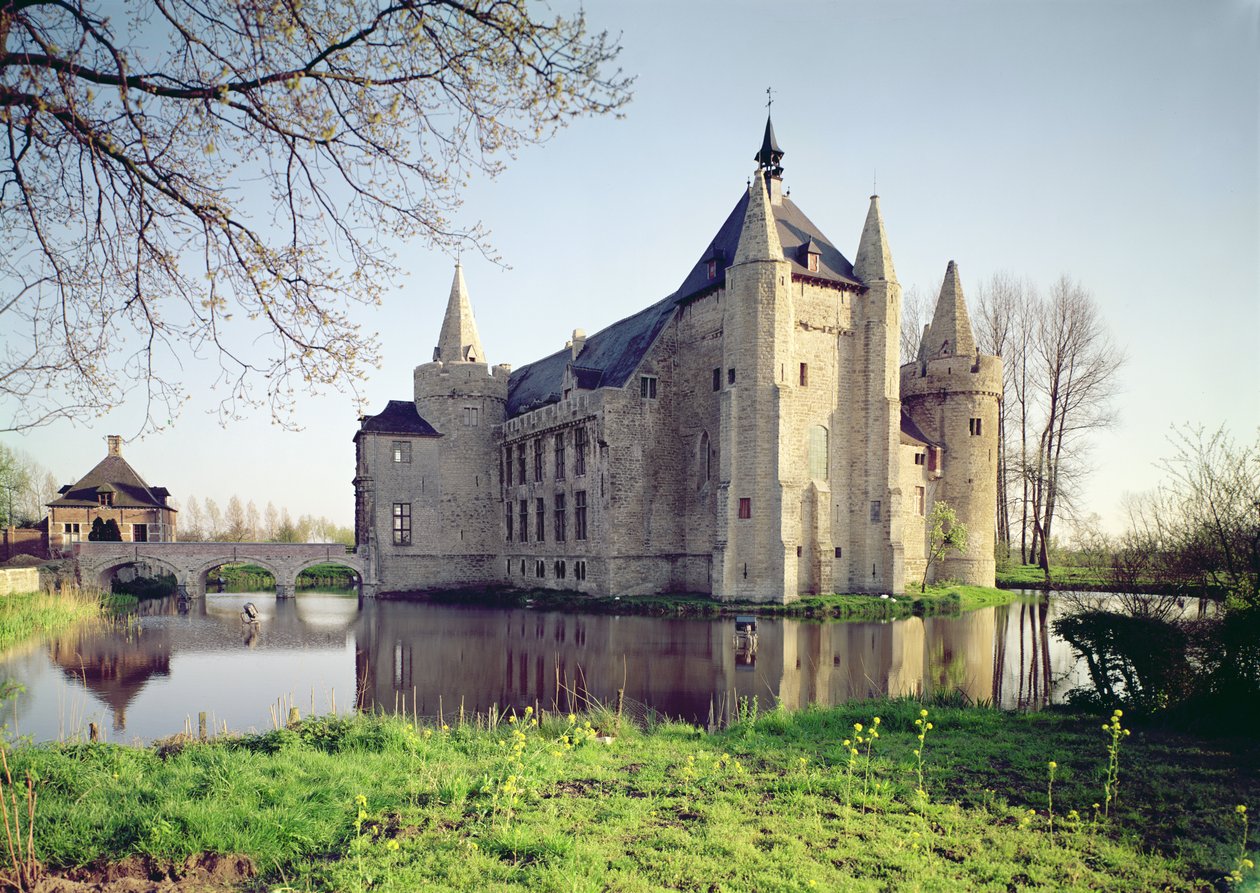 Vue du château - Flemish School
