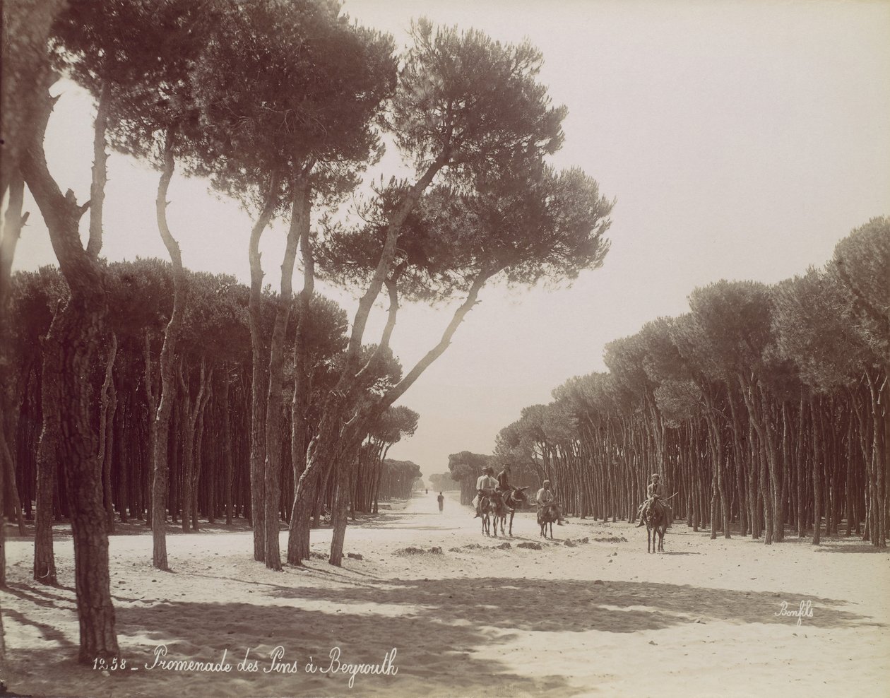 Promenade des Pins à Beyrouth, vers 1870 - Félix Bonfils