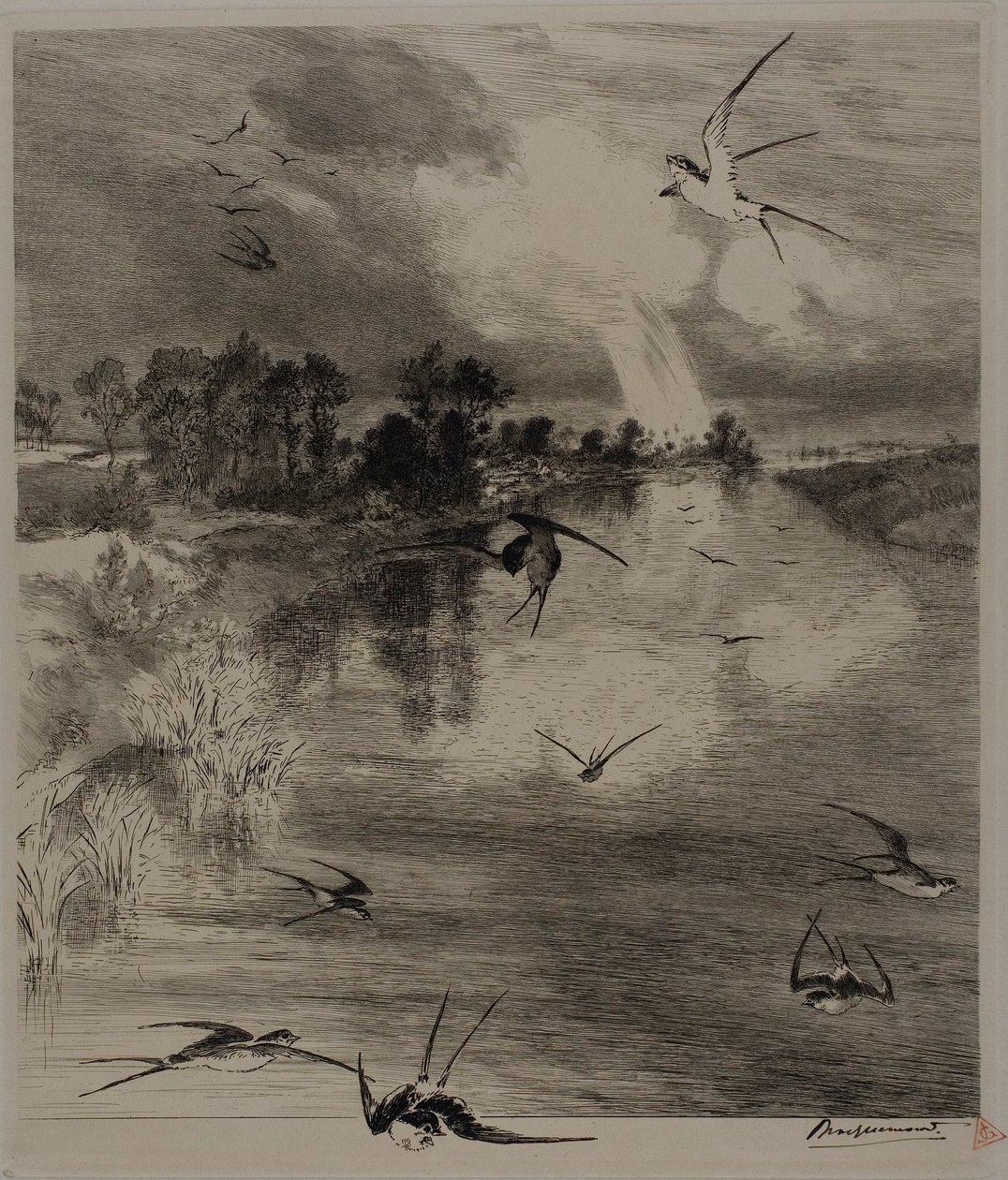 Hirondelles - Félix Henri Bracquemond
