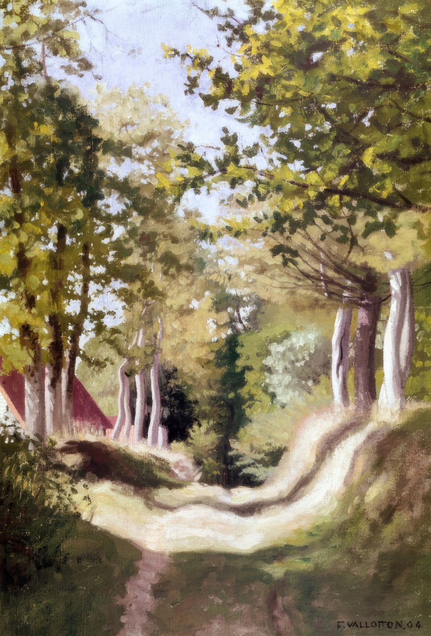 Sous-bois - Félix Vallotton