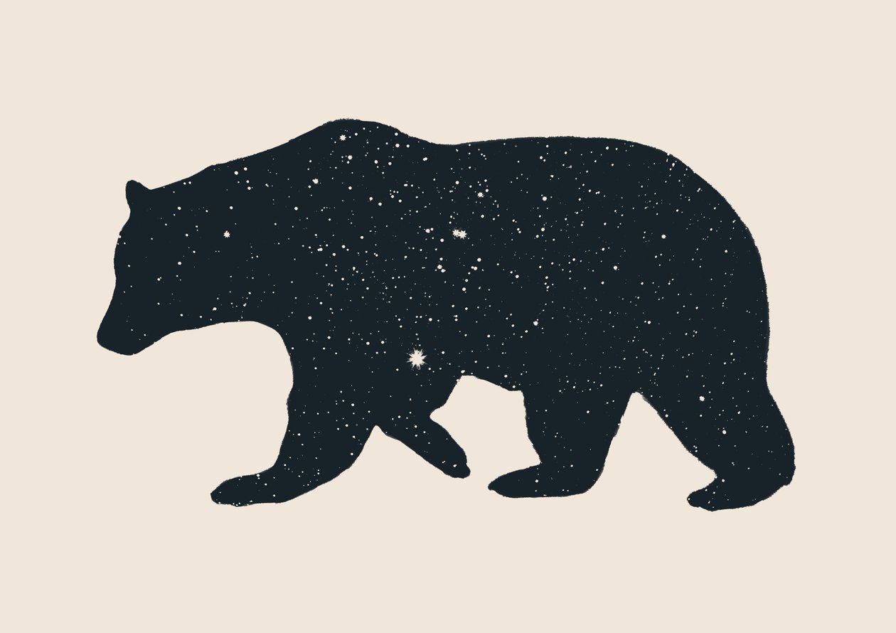 Ours - Florent Bodart