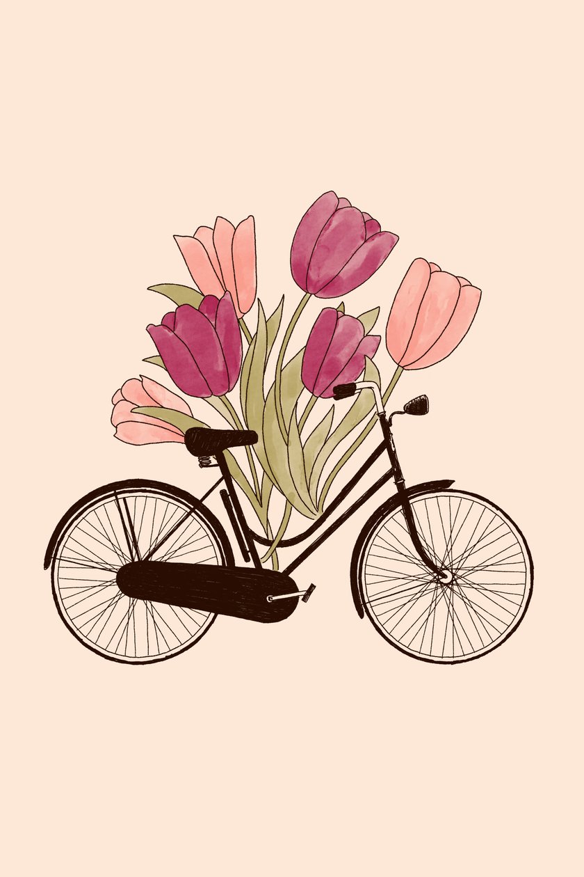 Vélo et fleur : Amsterdam, 2022 - Florent Bodart