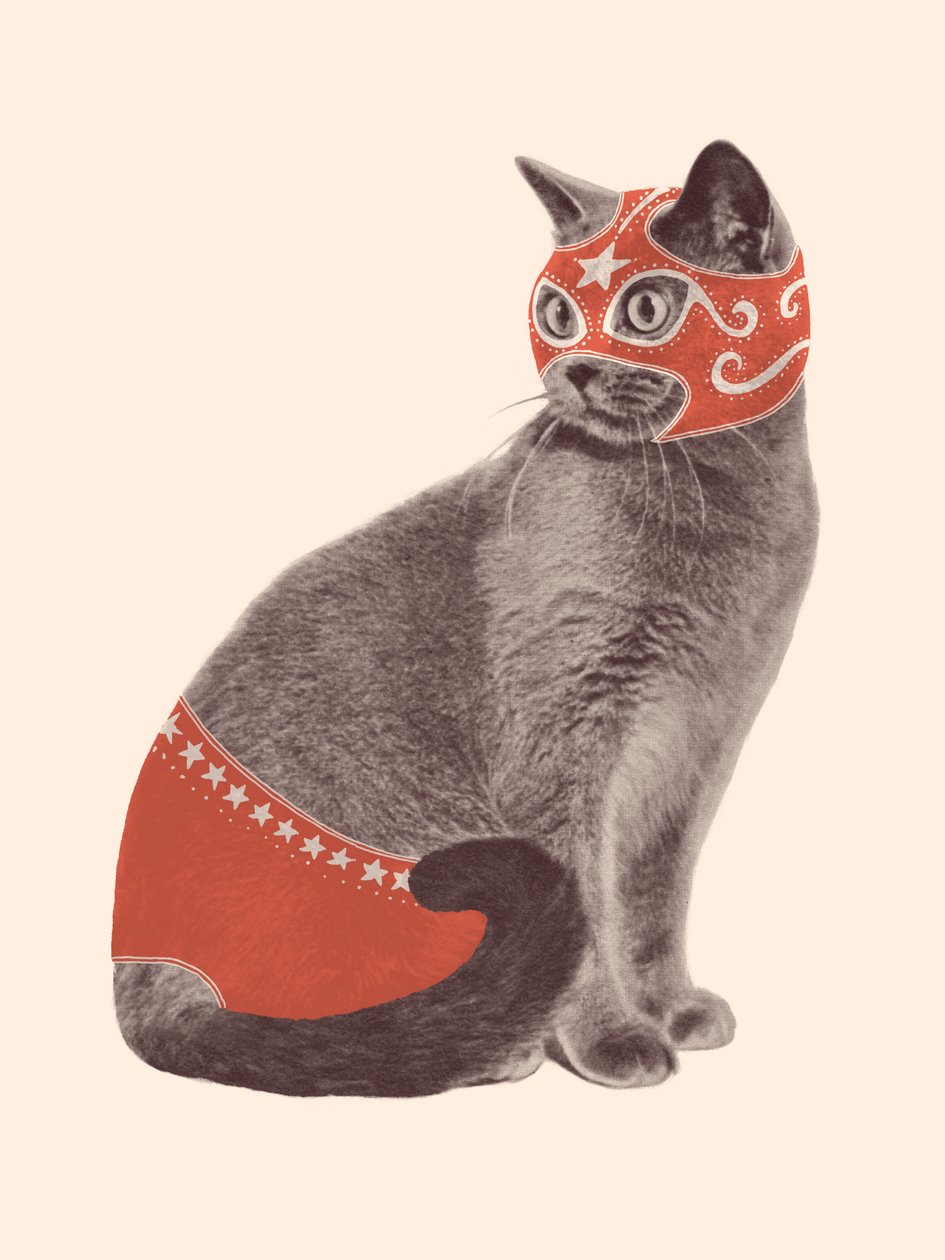 Lutteur de chat - Florent Bodart
