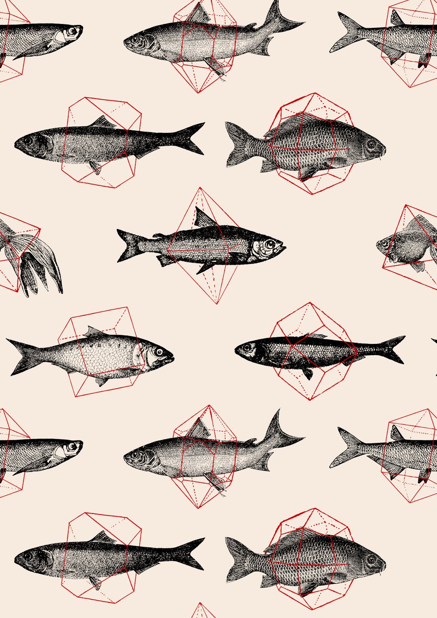 Poissons en géométrie - Florent Bodart