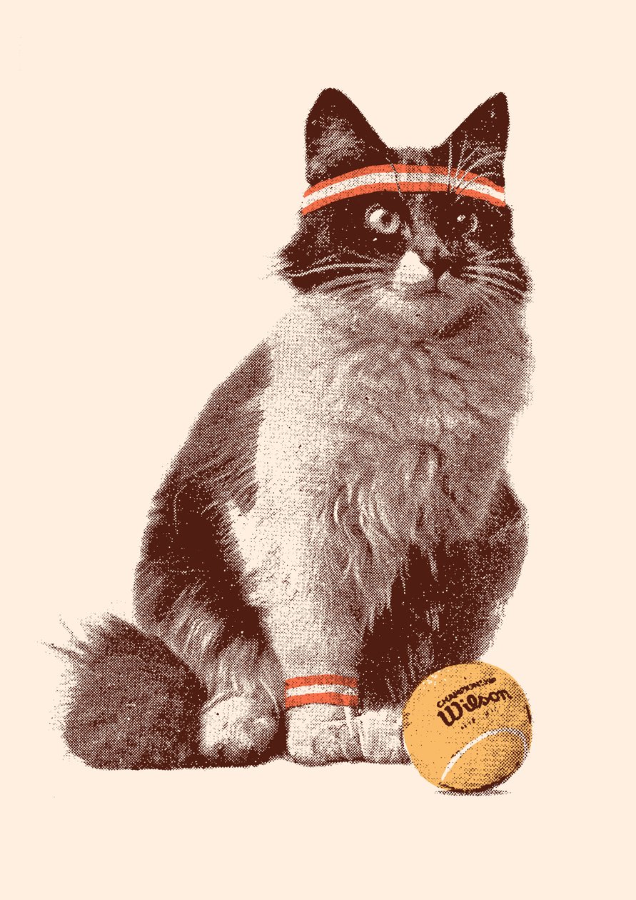 Chat de tennis, 2021 - Florent Bodart