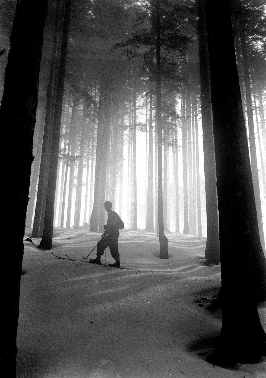 Vallombrosa : la cathédrale des sapins - Fosco Maraini