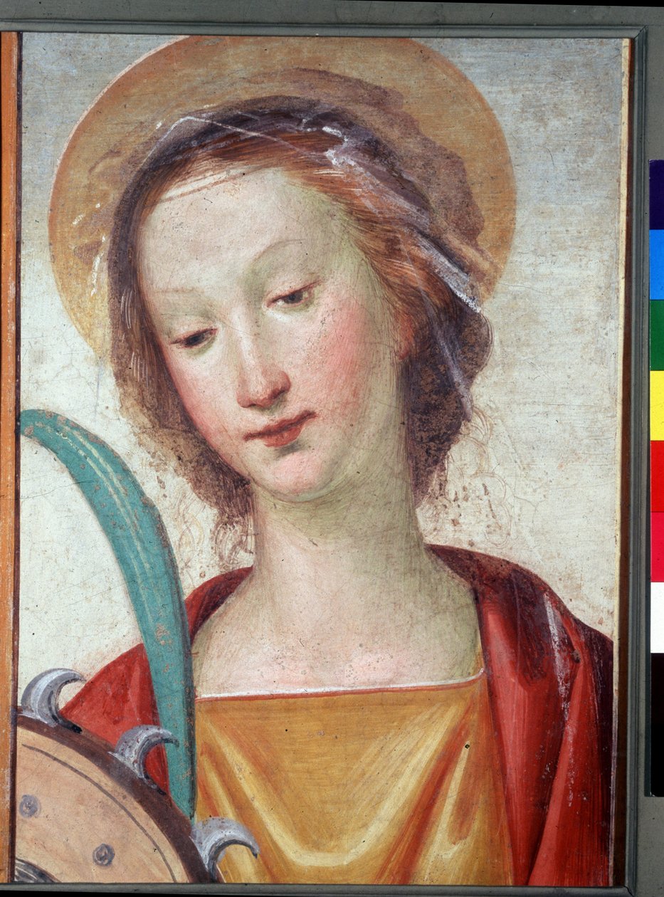 Image inconnue - Fra Bartolomeo