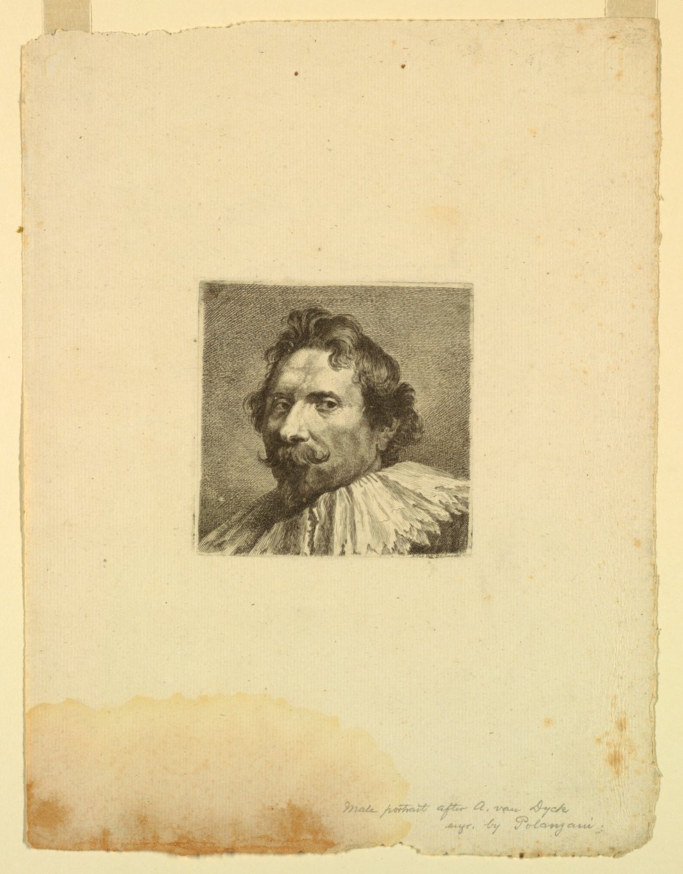 Portrait masculin - Francesco (Felice) Polanzani