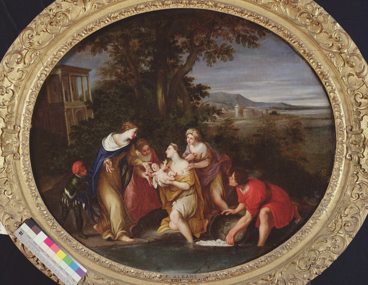 Moïse sauvé des eaux - Francesco Albani