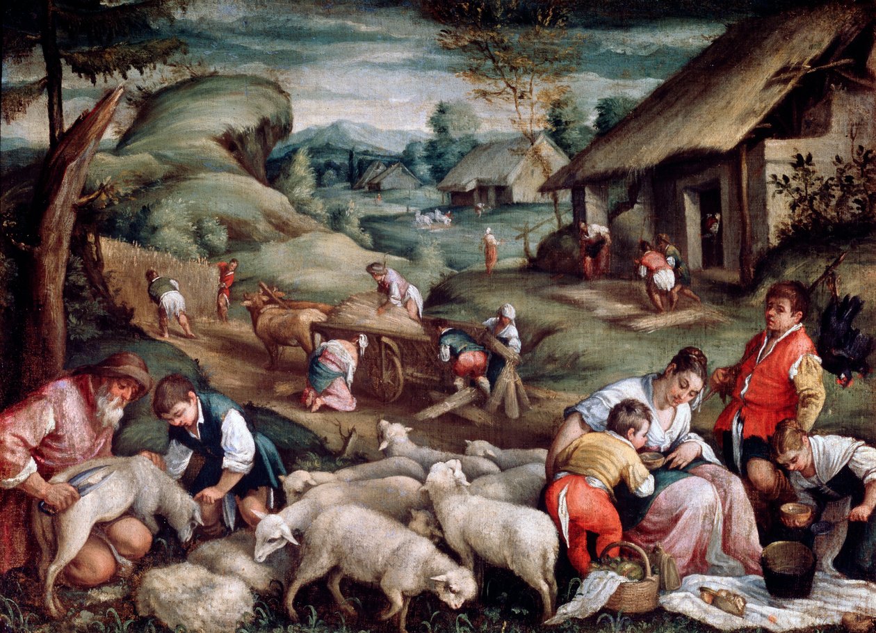 Été. Tonte des moutons, vers 1570-1580 - Francesco Bassano the Younger