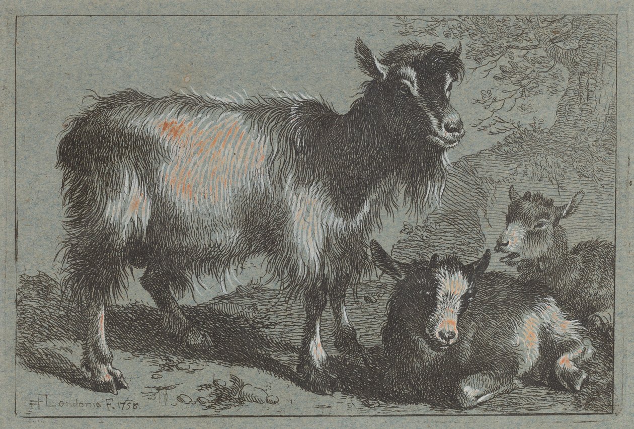 Chèvre et deux chevreaux - Francesco Londonio