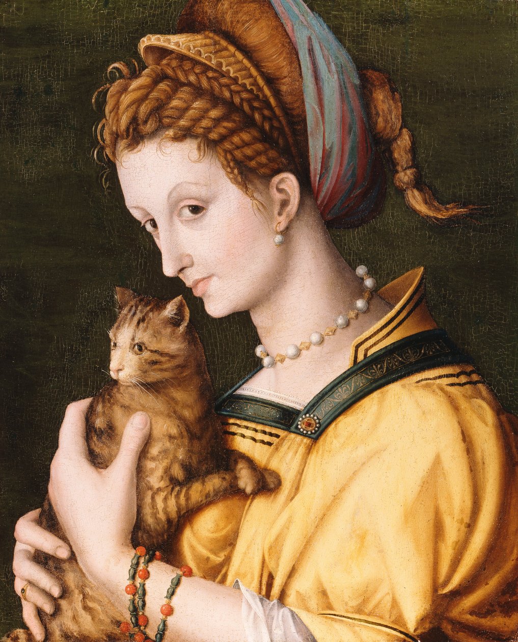 Dame avec un chat, c.1525-30 - Francesco Ubertini Bacchiacca