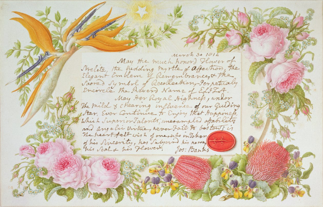 Un entourage de fleurs mélangées avec un message inscrit par Joseph Banks, 1814 - Francis Bauer