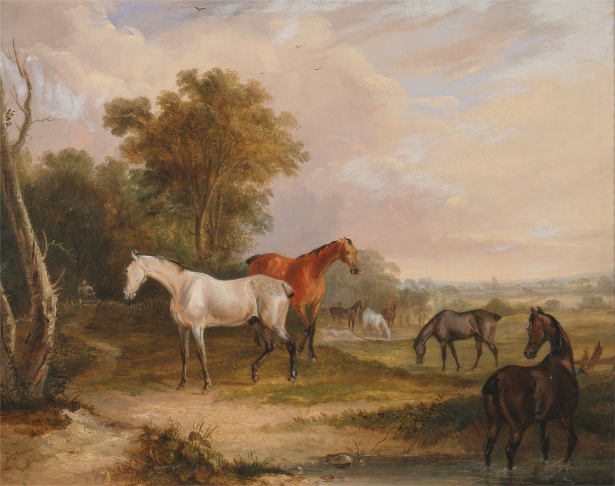 Chevaux paissant - un étalon gris paissant avec des juments dans un pré - Francis Calcraft Turner