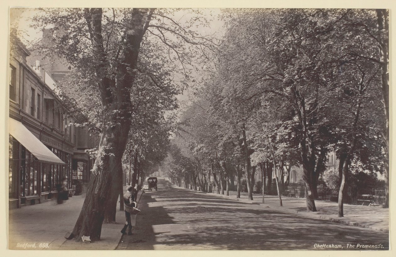 Cheltenham, la Promenade - Francis Bedford