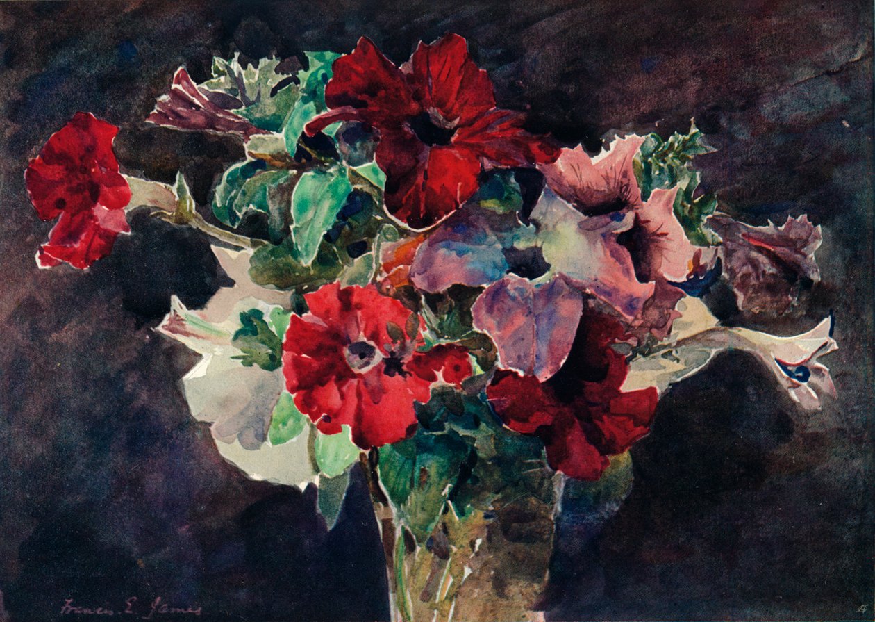 Pétunias - Francis Edward James