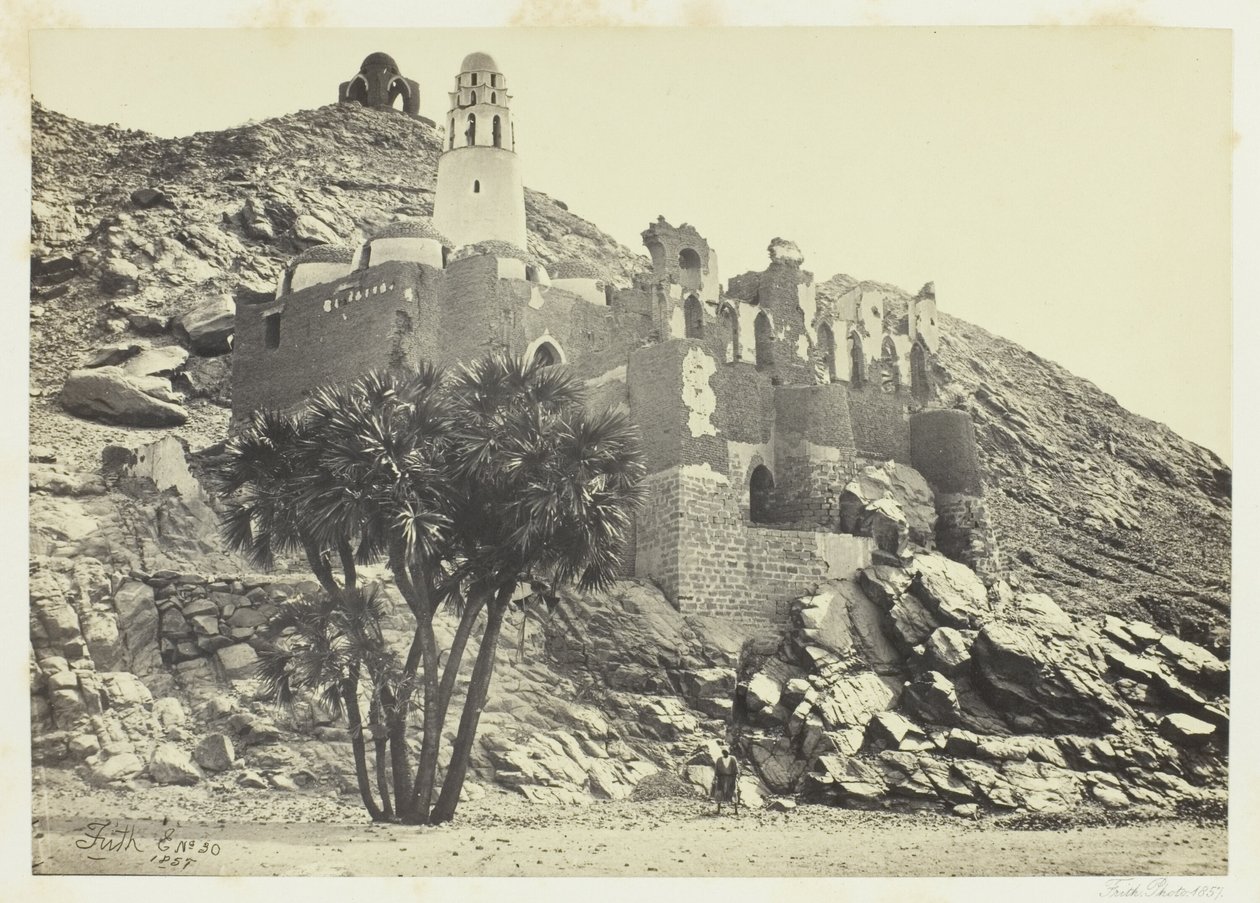 Palmier Doum et Mosquée en ruine, Philæ - Francis Frith