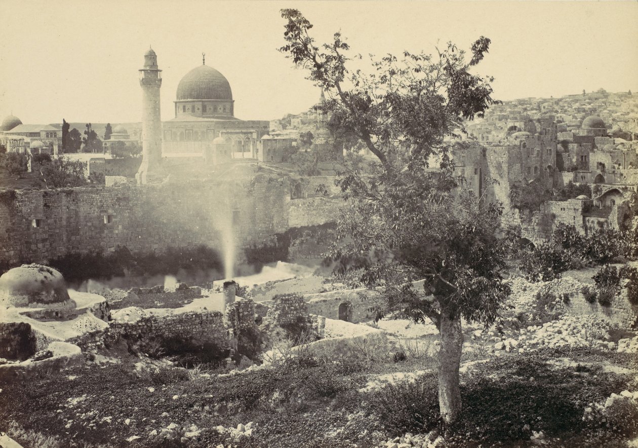 La mosquée d