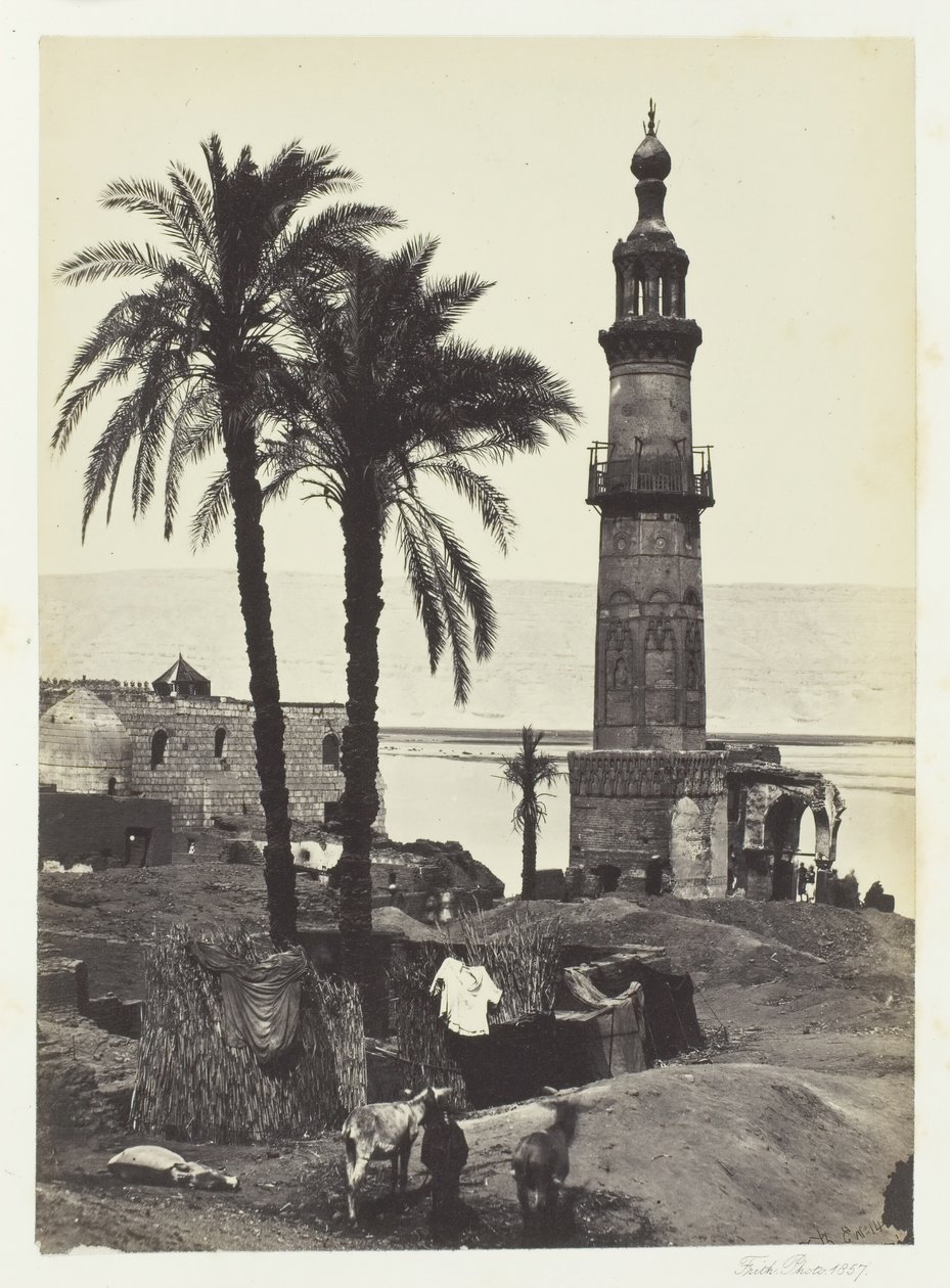 Vue à Girgeh, Haute Égypte - Francis Frith