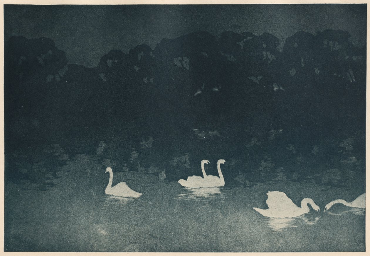 Les Cygnes - Francis Jourdain