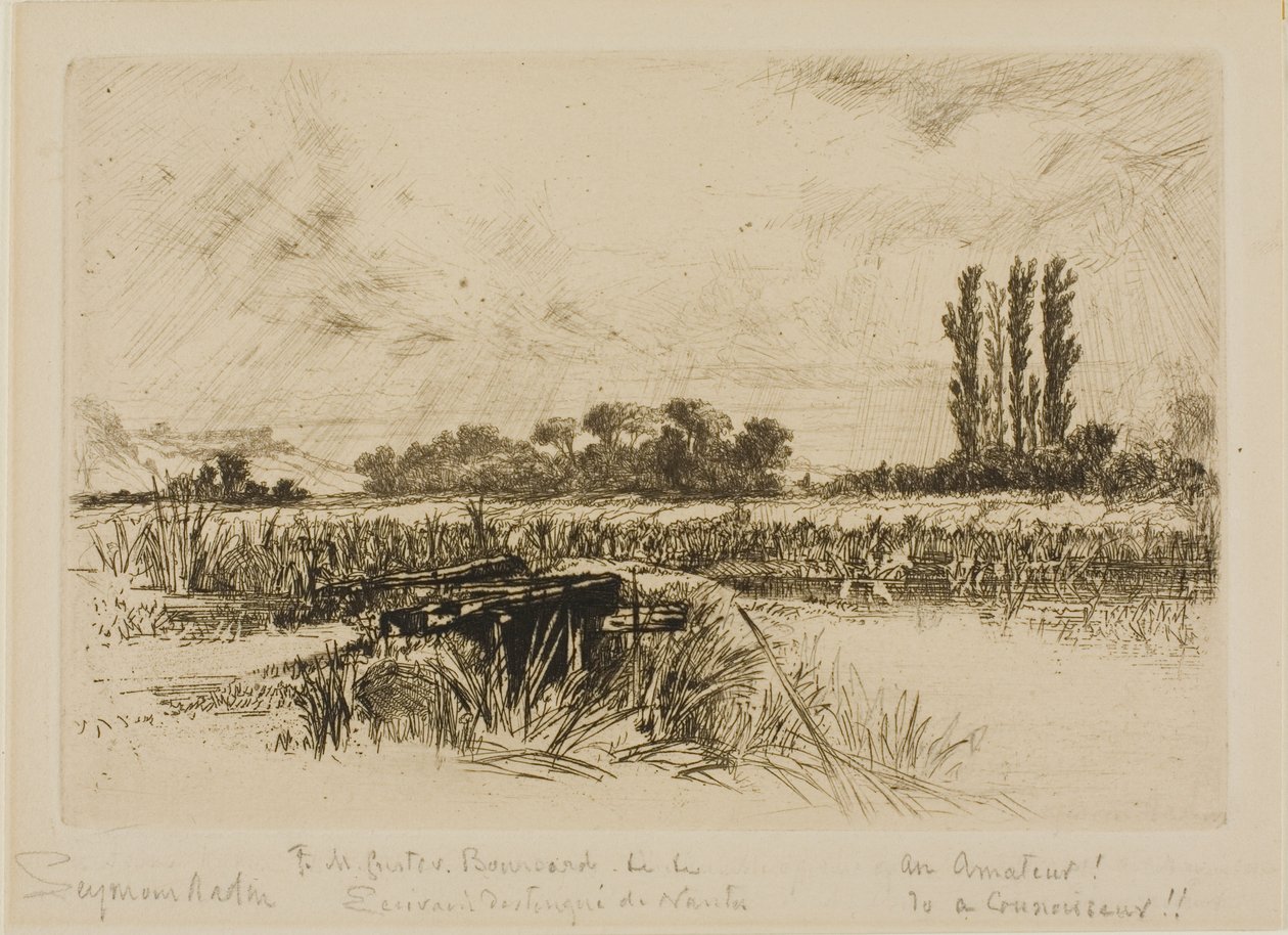 Un pré humide - Francis Seymour Haden