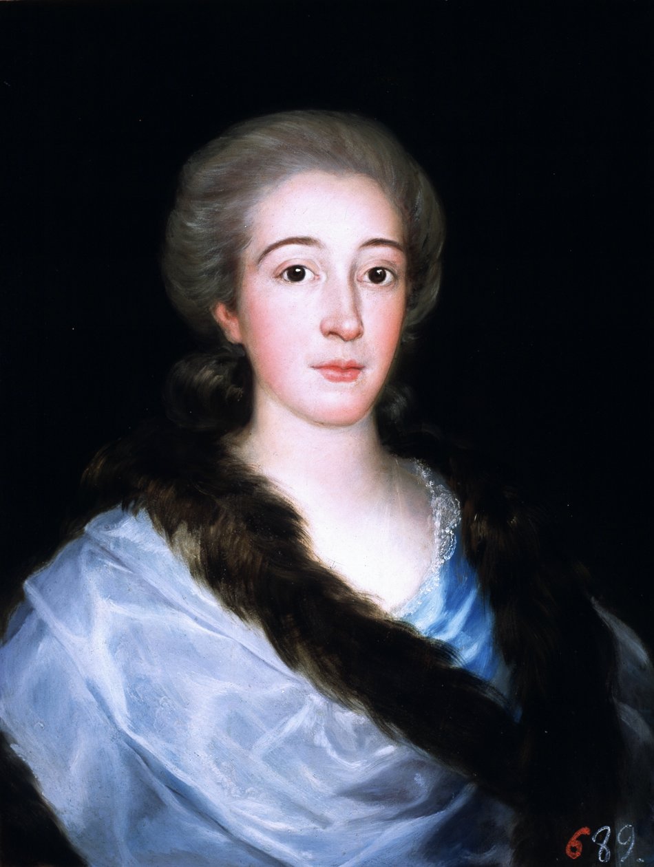 Portrait de Doña María Teresa de Vallabriga y Rozas - Francisco de Goya