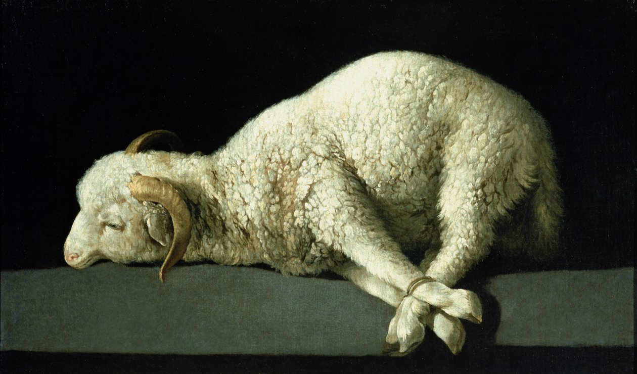 Agnus Dei, vers 1635-40 - Francisco de Zurbaran