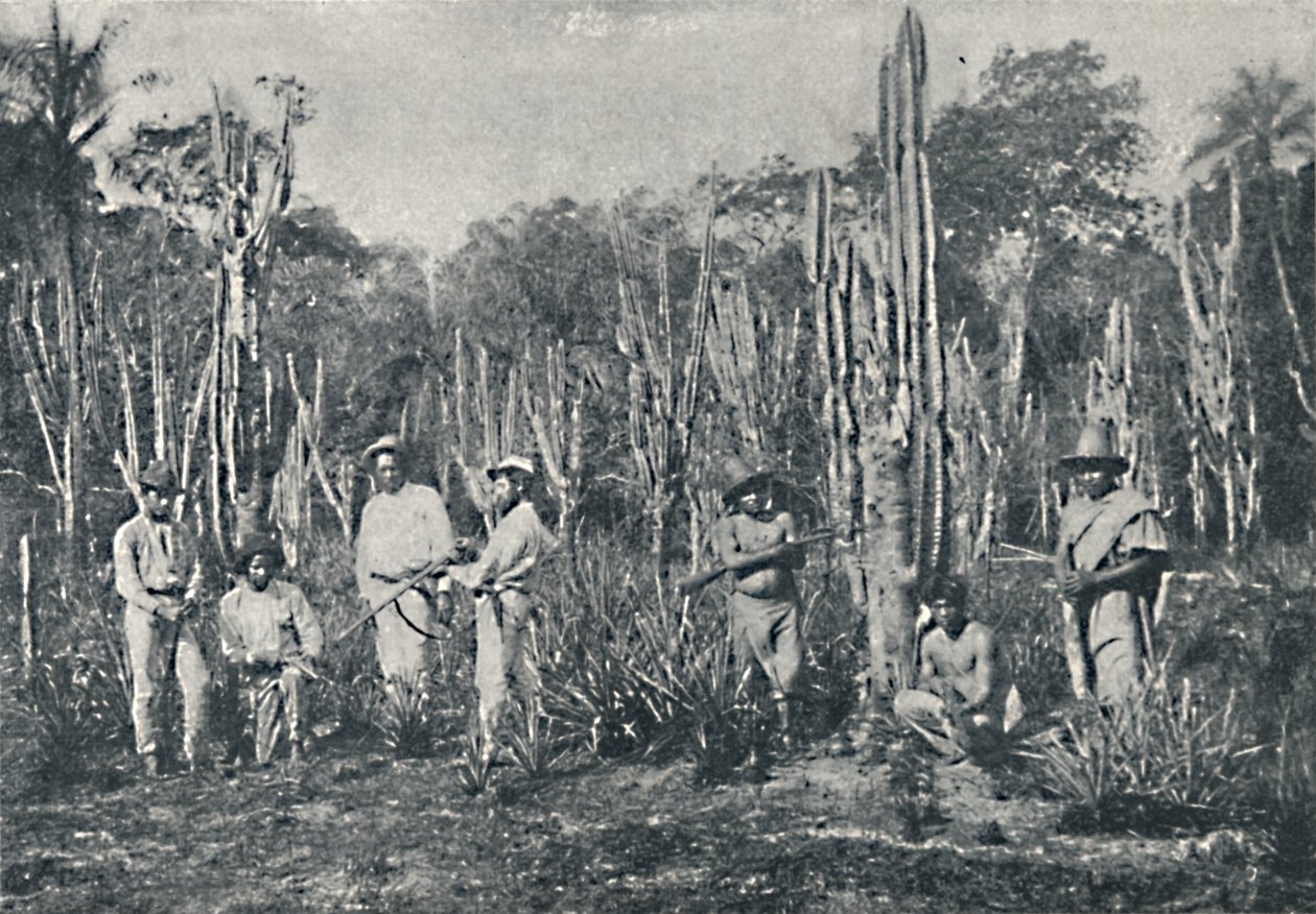 Campos, 1895 - Francisco Henszler
