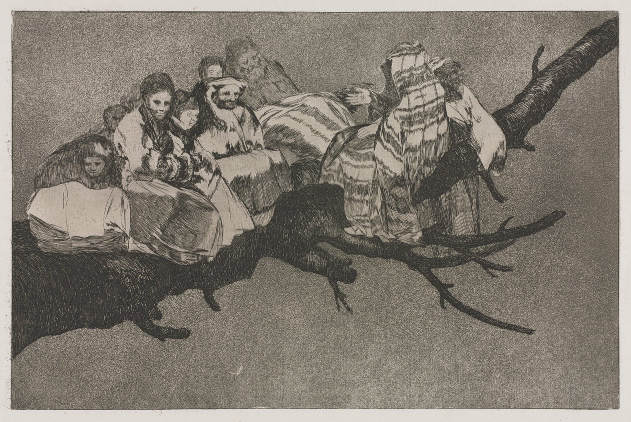 Les proverbes : Folie ridicule - Francisco de Goya