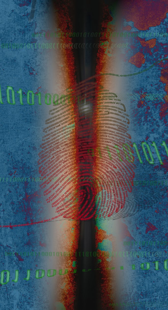DIG1TS, 2014 - Francois Domain