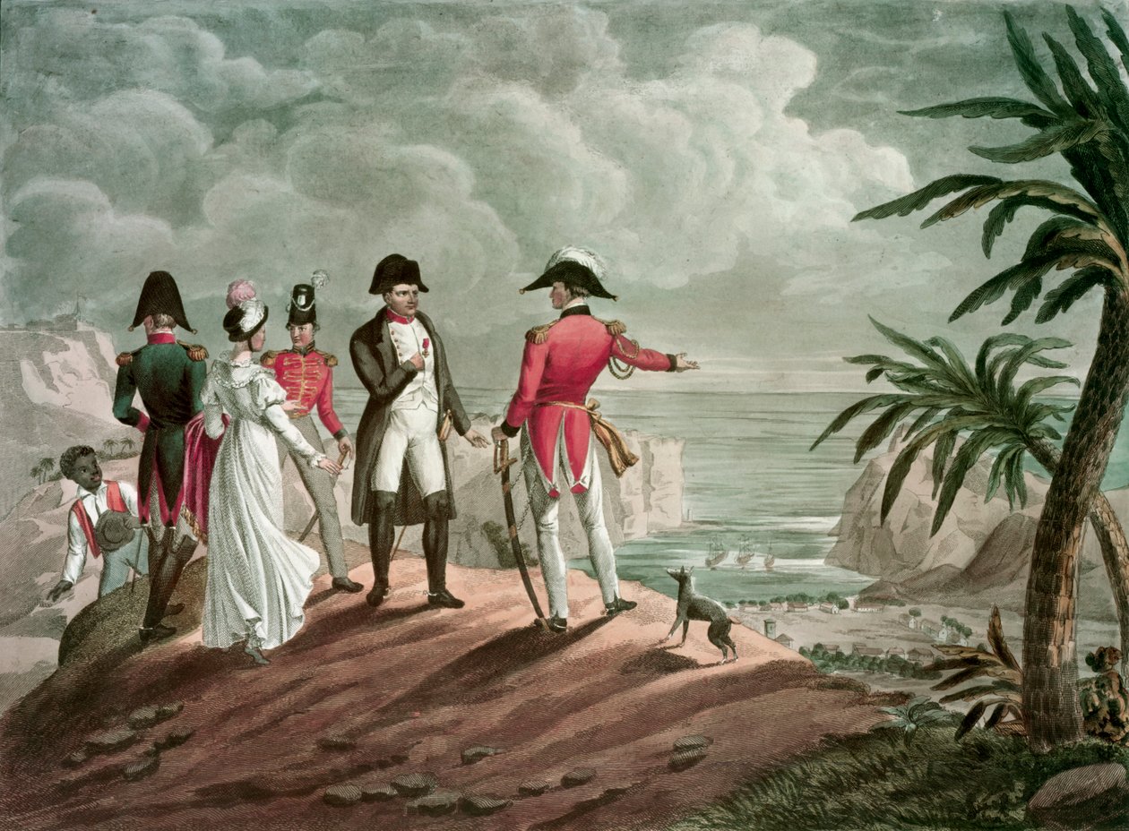 Bonaparte à Sainte-Hélène - Francois Nicolas Martinet