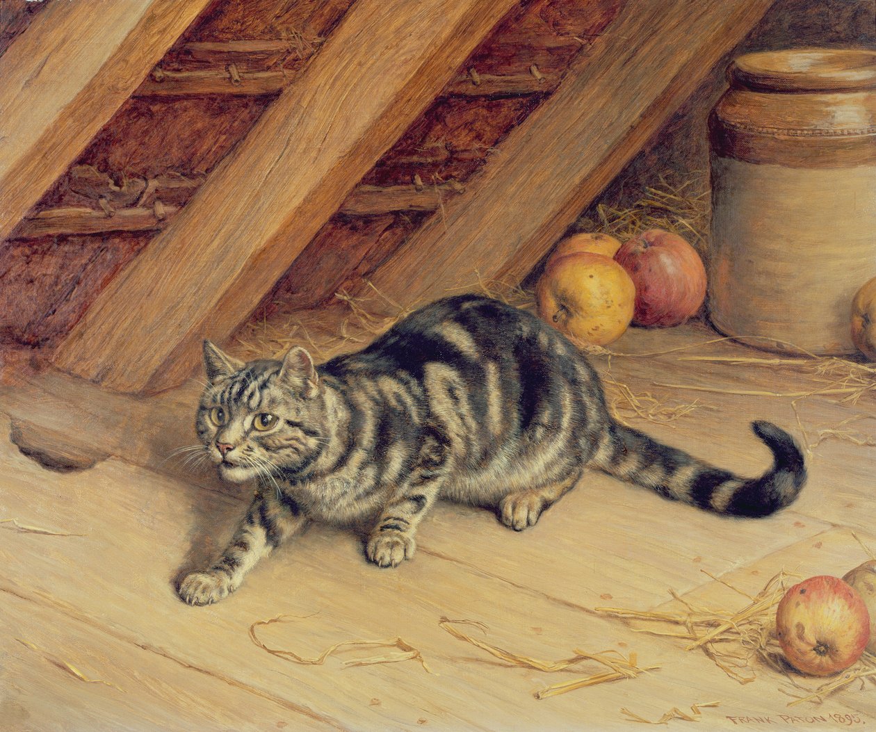 Alerte - Frank Paton