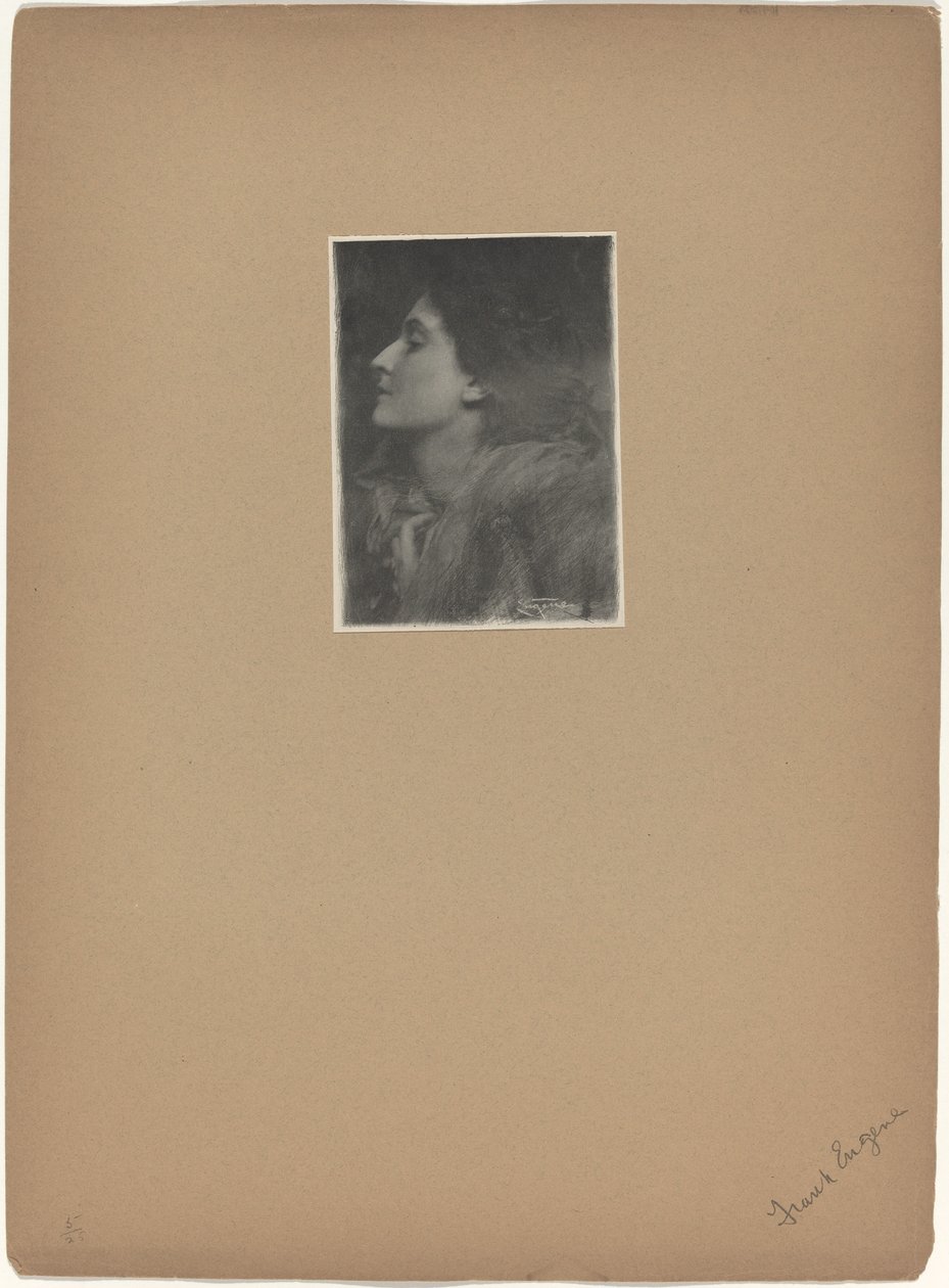 La Dame de Charlotte - Frank Eugene
