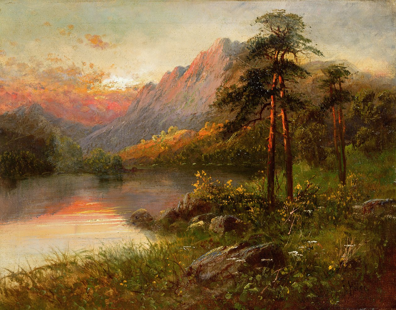 Solitude des Highlands - Frank Hider