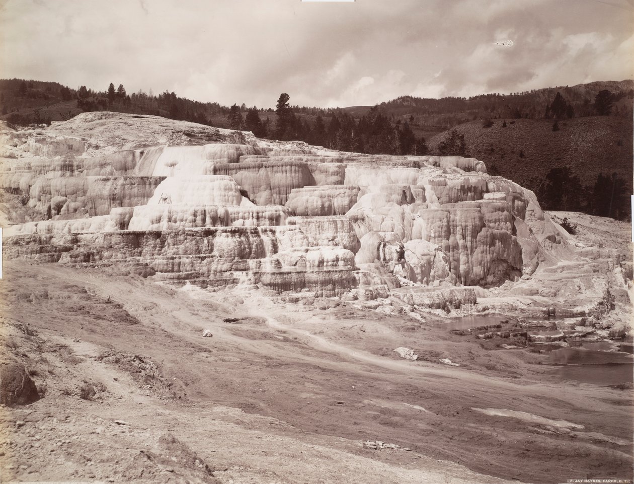Terrasse Minerva, Mammoth Hot Springs - Frank Jay Haynes