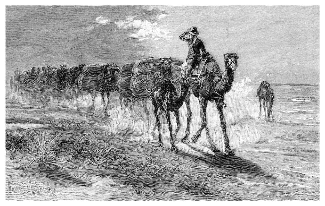 Chameaux transportant de la laine - Frank P. Mahony