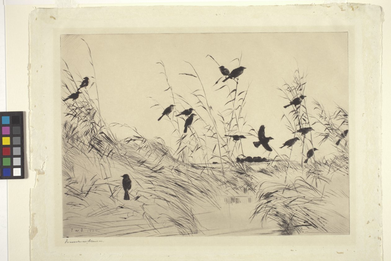 Merles Et Joncs - Frank Weston Benson