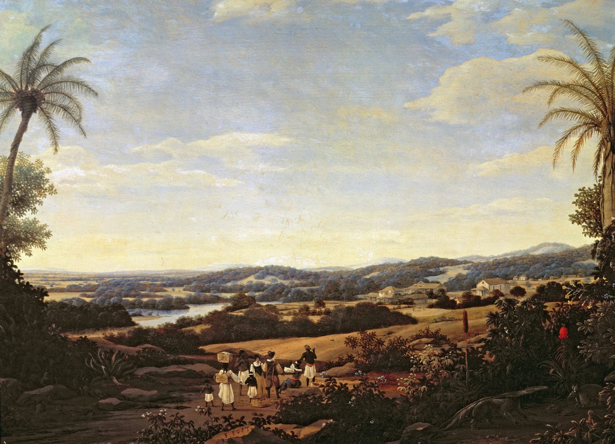 Paysage brésilien avec une plantation - Frans Post