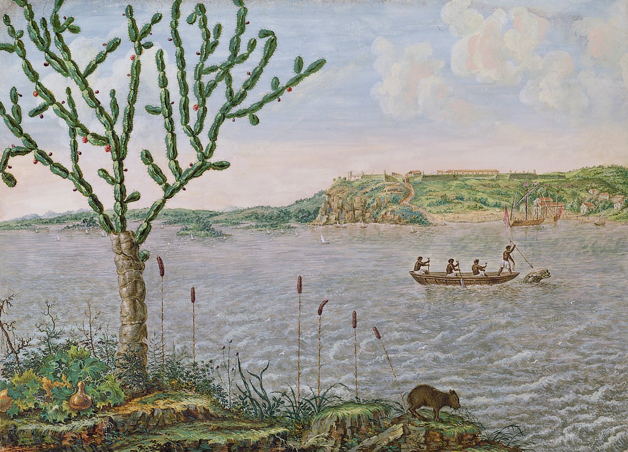 Vue du Fort Maurice sur le Rio San Francisco - Frans Post