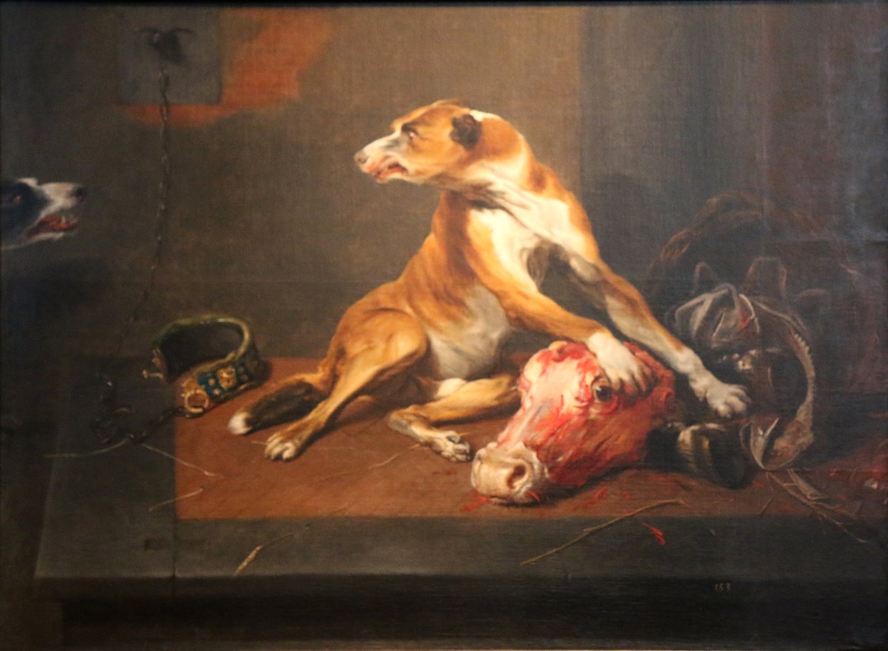 Deux chiens dans un garde-manger - Frans Snyders or Snijders
