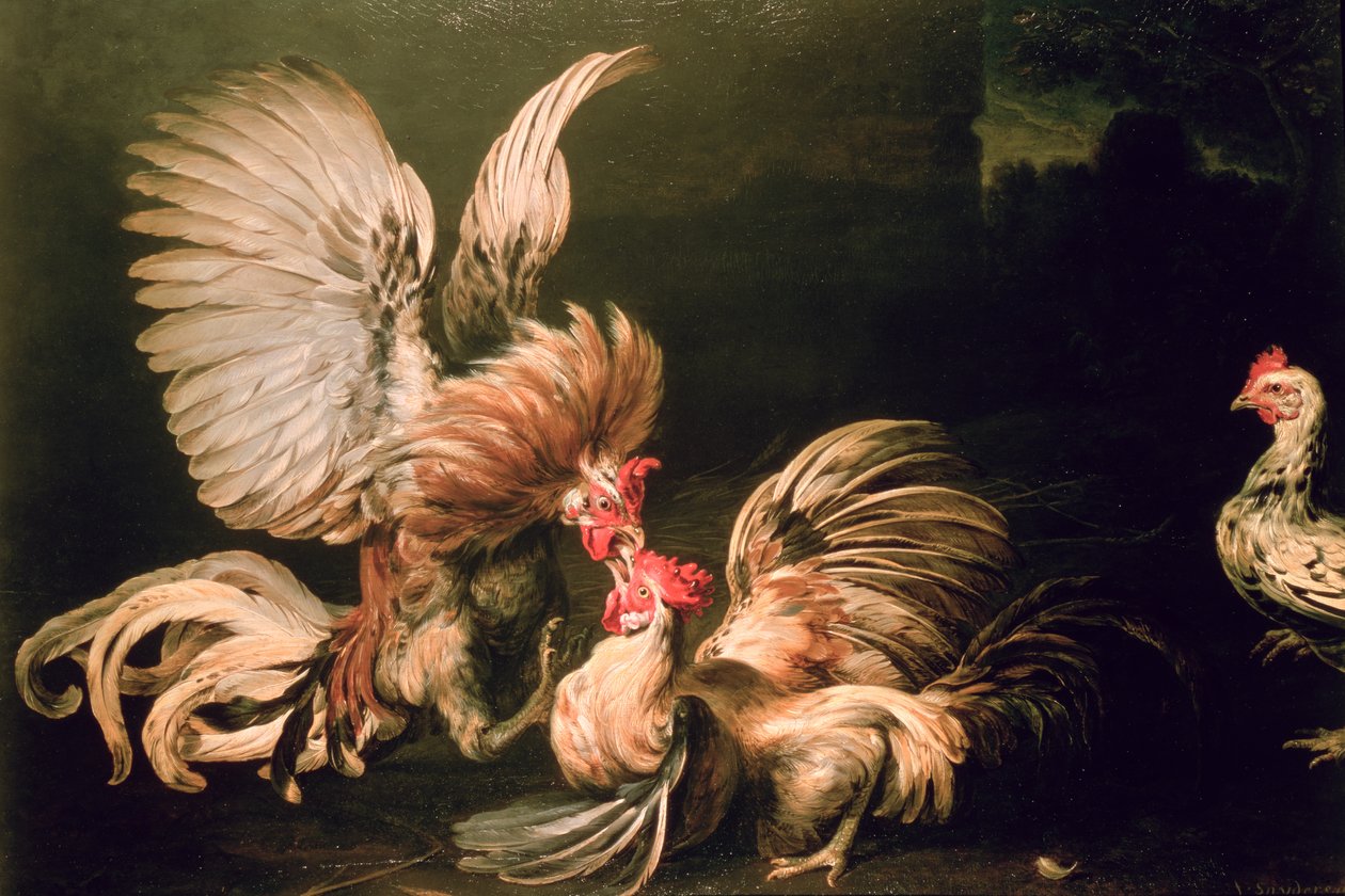 Combats de coqs - Frans Snyders or Snijders