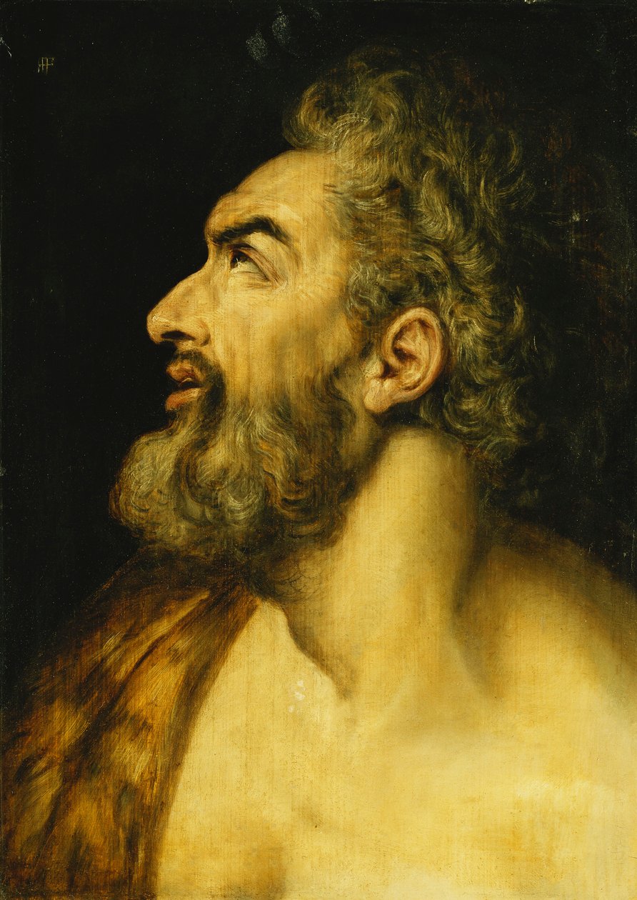 Tête de Saint Jean-Baptiste - Frans Floris