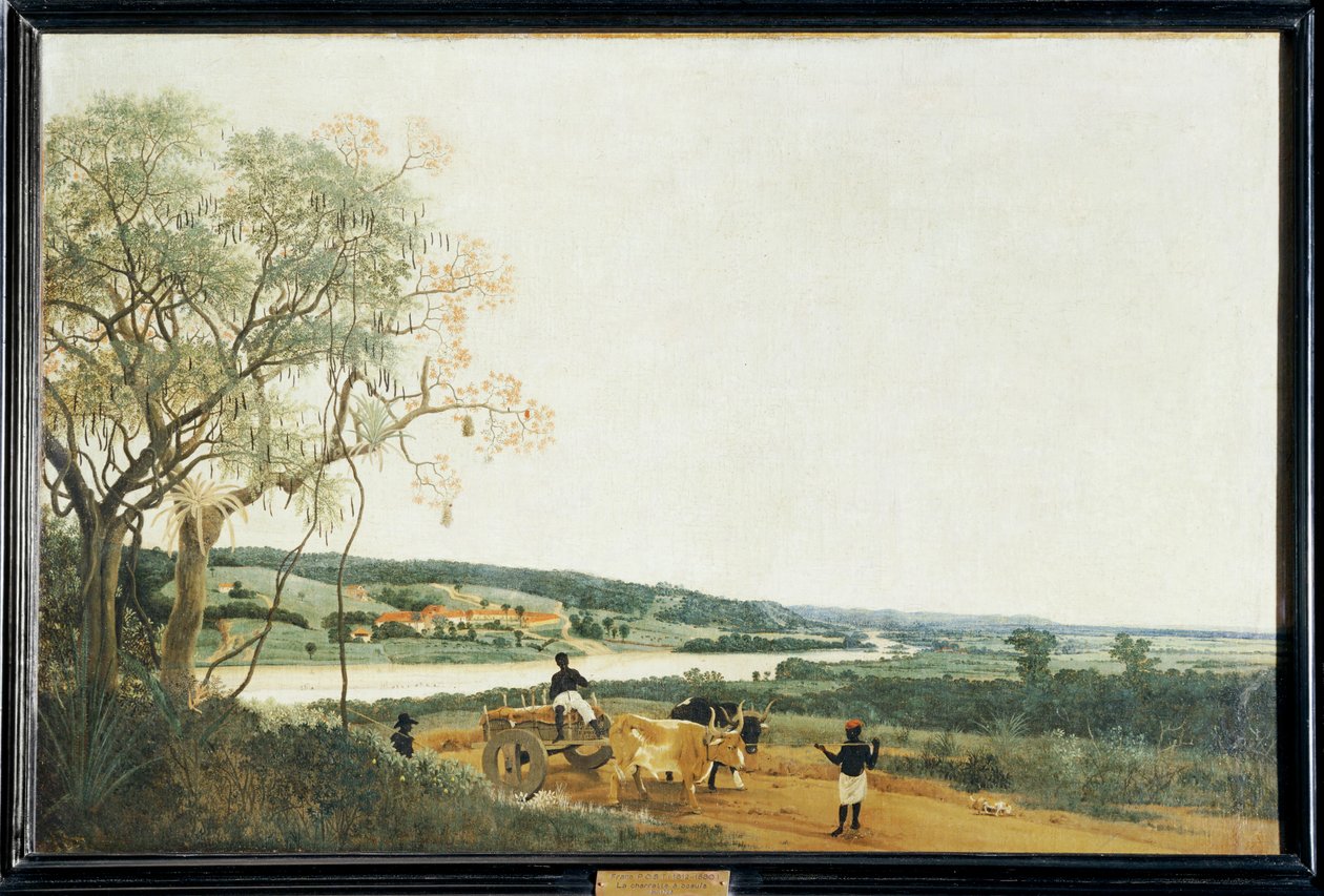 La charrette a boeufs, paysage bresilien ... - Frans Jansz Post