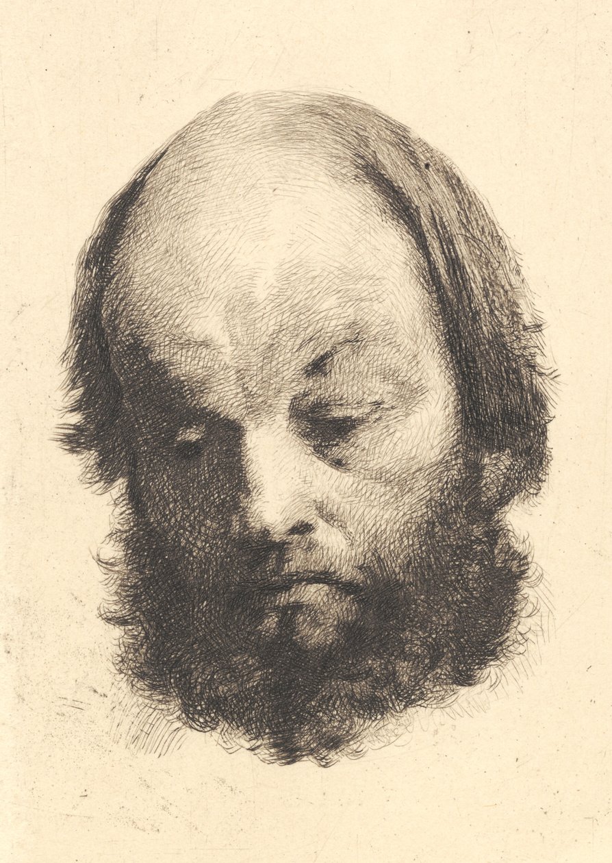 Homme à la barbe noire, Garibaldi - Frans Schwartz