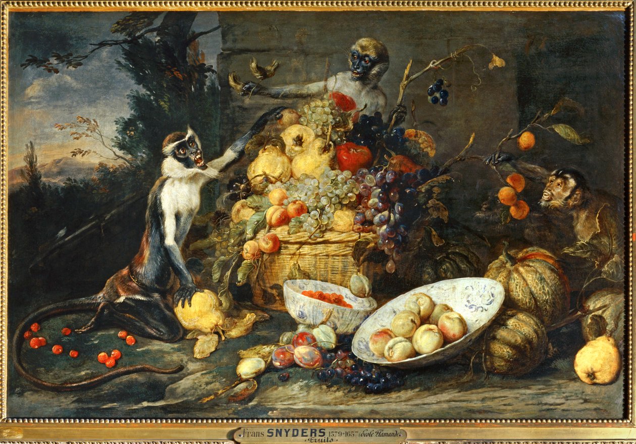 Trois singes, voleurs des fruits ... - Frans Snyders