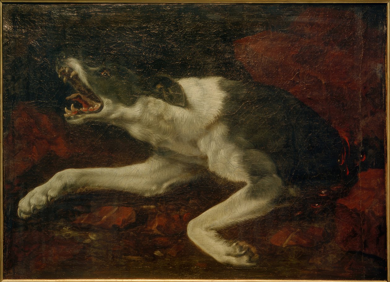 Chien blessé - Frans Snyders or Snijders
